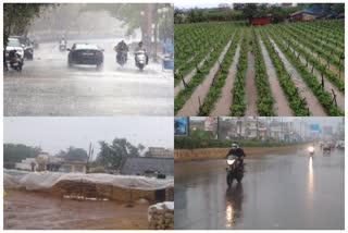 Rainfall Hailstorm in Chhattisgarh