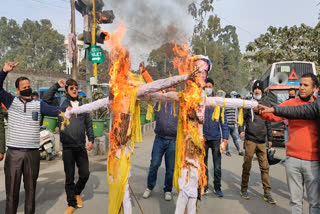 Pharmacists Burned Effigy of dhan singh rawat