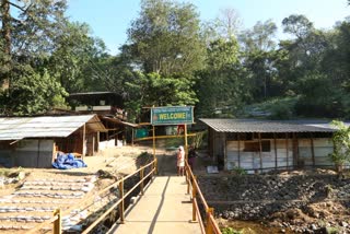 Sabarimala traditonal way opens tomorrow  erumeli traditonal way opens tomorrow  ശബരിമല കാനന പാത നാളെ തുറക്കും  ശബരിമല വാര്‍ത്ത