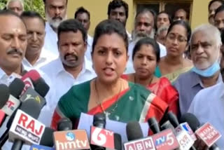 mla roja