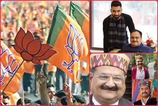 politics on nepotism in himachal