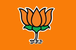karnataka bjp reports high command on  Local body Election result