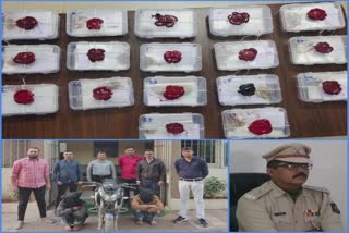 Chain snatchers arrested in Kalol: ચેઈન સ્નેચિંગ કરતા 2 આરોપી કલોલથી ઝડપાયા, મોજશોખ પૂરા કરવા કરતા હતા ચોરી