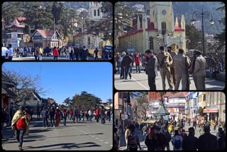 shimla Ridge Maidan Opened Again