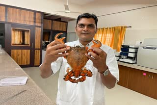 Red Frog African Crab: વેરાવળ બંદર પર આફ્રિકન પ્રજાતિનો અદભૂત કરચલો મળ્યો