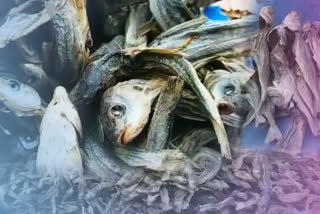 why-smoked-and-dried-fish-eating-decline-in-kashmir-during-winter
