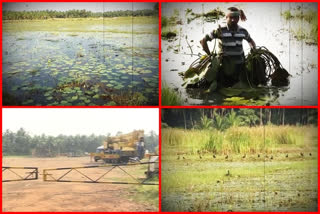 paddy farmers problems in pasharlapudilanka at east godavari