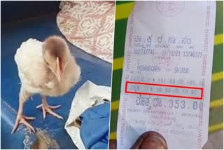 Bus conductor charged 52 rupees for chicken chick