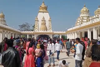 People enjoy picnic on New Year