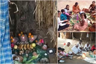 Yellu Amavasye celebration at Kalburgi