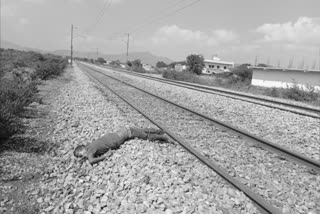 UP man suicide in kadapa falling under train