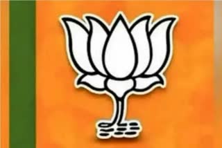 BJP will communicate with people of all sections from Monday for its election manifesto