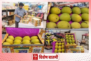 hapus mango arrived in pune