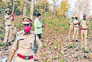 Forest Officials Action on Wood Smuggling