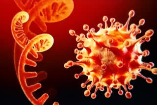 مغربی بنگال میں کورونا وائرس کے ریکارڈ کیسز کی تصدیق