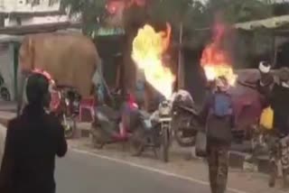 Elephant at Gola DVC Chowk of Ramgarh