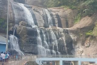 permission to take bathe in courtallam falls