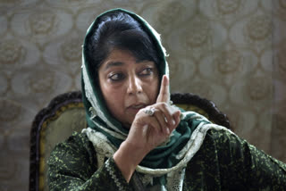 Mehbooba to write to Home Minister to release Arasalan from NIA