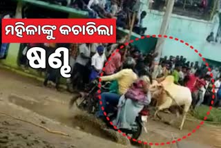 ବାଇକରେ ଯାଉଥିବା ମହିଳାଙ୍କୁ Jallikattu ବଳଦର ଆକ୍ରମଣ, ଦେଖନ୍ତୁ ଛାତିଥରା ଭିଡ଼ିଓ