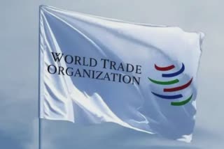 WTO General Council Meeting 2022: કોવિડ પેકેજ પર ચર્ચા માટે ભારતે WTO જનરલ કાઉન્સિલની ઇમરજન્સી બેઠકની કરી માંગ