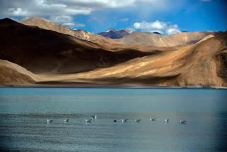 New satellite image shows China constructing bridge on its side of Pangong lake in Ladakh:Sources