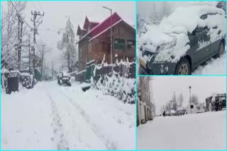 Snowfall In Himachal Pradesh