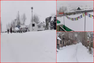 fresh snowfall in lahaul