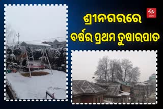 First Snowfall of 2022: ବର୍ଷର ପ୍ରଥମ ତୁଷାରପାତକୁ ଭୂସ୍ବର୍ଗ କାଶ୍ମୀରର ସ୍ବାଗତ