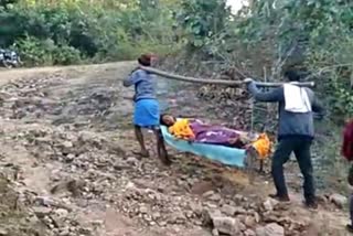 No roads in Jharkhand village, villagers carry pregnant woman, villagers carry pregnant woman on cot, Jharkhand news, ಜಾರ್ಖಂಡ್‌ನ ಗ್ರಾಮಗಳಲ್ಲಿ ರಸ್ತೆ ಸೌಕರ್ಯವಿಲ್ಲ, ಗರ್ಭಿಣಿಯನ್ನು ಹೊತ್ತೊಯ್ದ ಗ್ರಾಮಸ್ಥರು, ಗರ್ಭಿಣಿಯನ್ನು ಮಂಚದ ಮೇಲೆ ಹೊತ್ತೊಯ್ದ ಗ್ರಾಮಸ್ಥರು, ಜಾರ್ಖಂಡ ಸುದ್ದಿ,