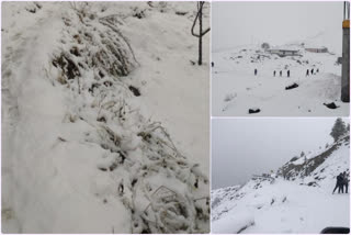 rain and snowfall in himachal pradesh