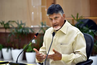 Chandrababu Naidu On CM Jagan