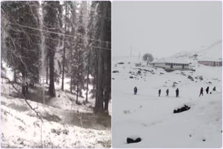 snowfall in narkanda himachal