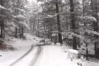 Snowfall In Kinnaur