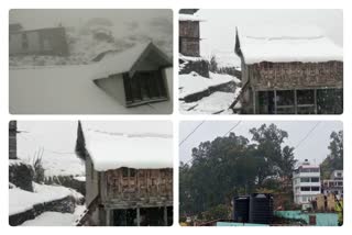 heavy Snowfall and rain in chamba and nahan