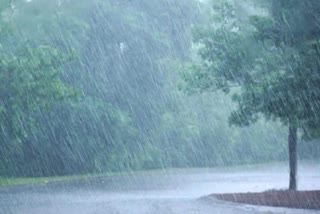 rain in charkhi dadri