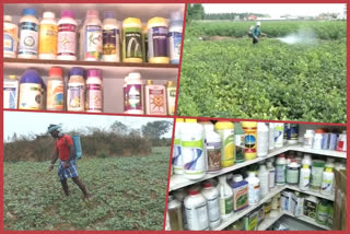 Pesticide Price Hike Issues : భారీగా పెరిగిన పురుగు మందుల ధరలు.. ఆవేదనలో అన్నదాతలు!