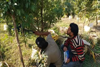 jabalpur agriculture university initiative in studies