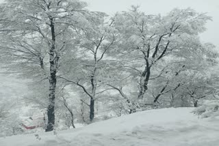 snowfall-in-uri-and-boniyar-major-roads-cut-from-district-headquarter