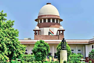 SC issues notice to Centre on PIL highlighting elephant deaths due to electrocution