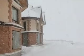 Snowfall in Sonmarg