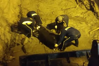 dead body found in tapovan tunnel