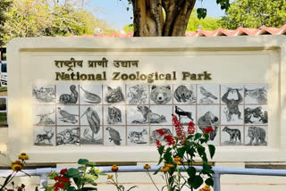 COVID-19 National Zoological Park in Delhi shuts down temporarily