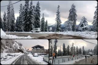 fresh snowfall in Kufri