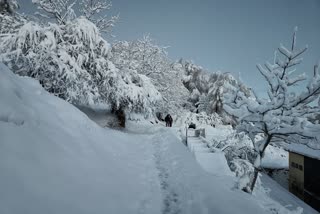 snowfall in Chamoli