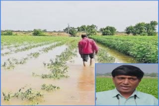 Non seasonal Rainfall in Rajkot: રાજકોટમાં મોડી રાતથી પડતા કમોસમી વરસાદના કારણે ખેડૂતોમાં ચિંતા વધી