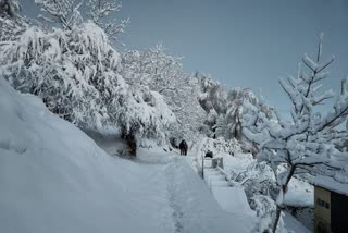 Mountains In Uttarakhand's Chamoli Glistening Under Sun, chamoli snowfall, snowfall in Uttarakhand, winter in India