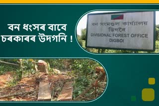 massive forest destruction at Upper Dihing reserve forest