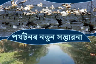 Deprive from tourism Talibar Beel