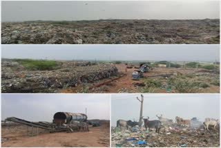Bhuj dumping station: ભુજ ડમ્પિંગ સાઈટનો સર્જાતો પહાડ પશુઓ તથા શહેરીજનો માટે નુકસાનકારક