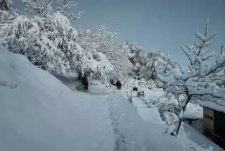 chamoli snowfall